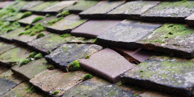 Geneur Glyn roof repair costs